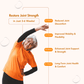 WishNew Wellness JOINT FLEX+ | Advanced Joint Support Formula with Glucosamine, Chondroitin & MSM | Enhances Mobility & Flexibility | 90 Tablets for Optimal Joint Health & Wellbeing