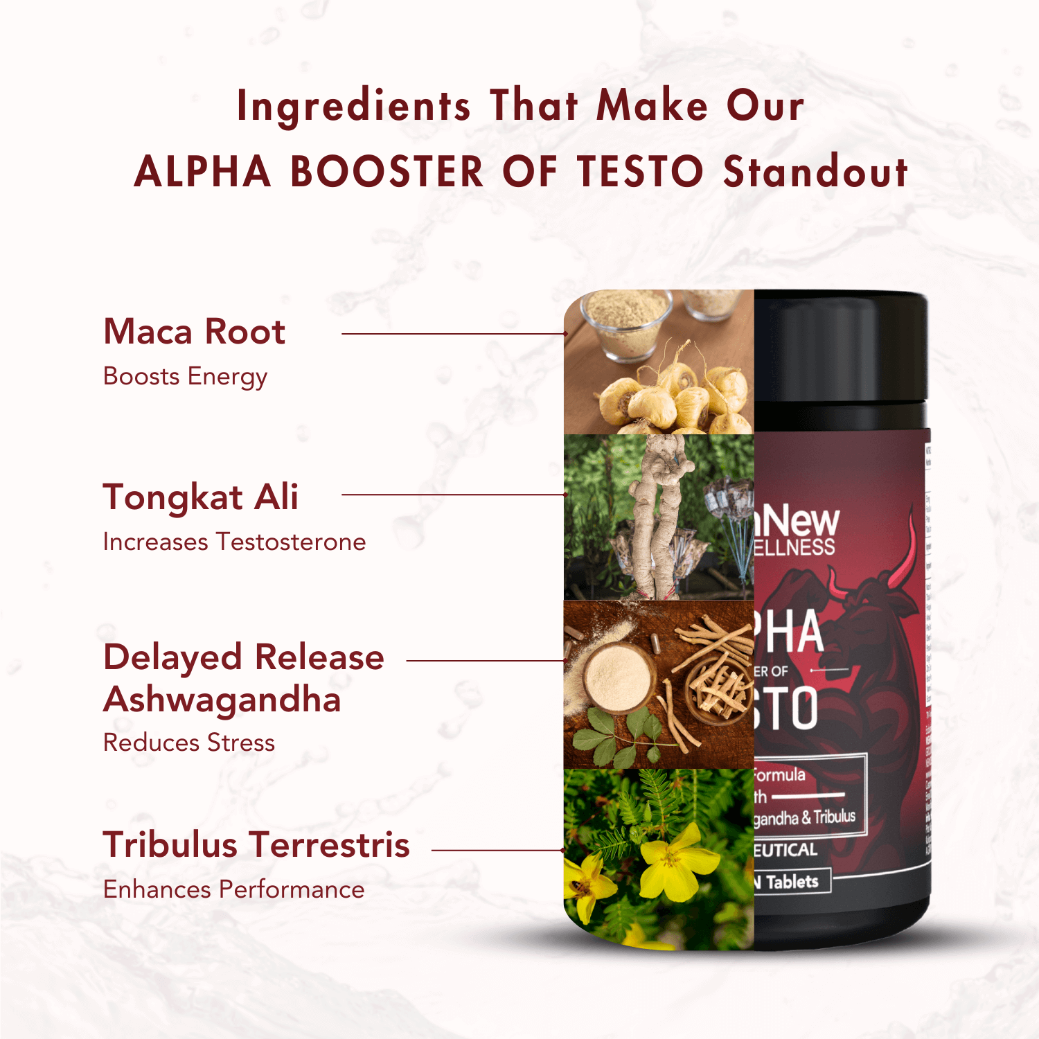 WishNew Wellness ALPHA BOOSTER OF TESTO | 60 Veg Tablets | Enhanced Testosterone Support | Maca, Tribulus, Ginseng | Muscle Growth, Energy, Stamina | Zinc, Vitamin D2 | Men's Health & Vitality