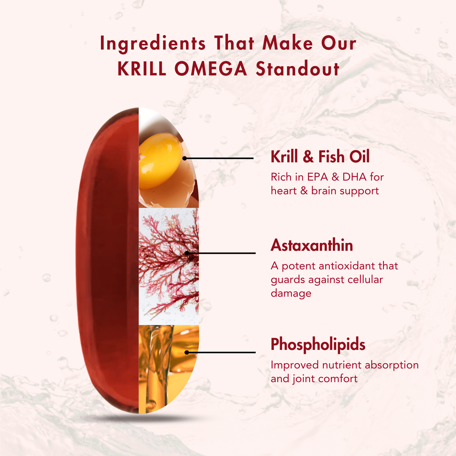 WishNew Wellness Krill Omega Complex for Heart & Brain Health, 60 Enhanced Absorption Softgels with 2000mg Fish Oil & 250mg Krill, Rich in EPA & DHA Plus Astaxanthin