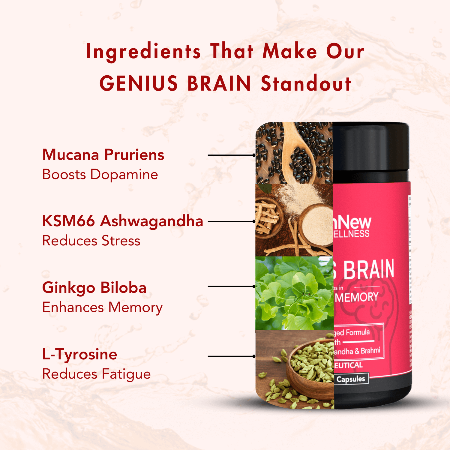 WishNew Wellness GENIUS BRAIN | Advanced Nootropic Formula for Focus & Memory | 60 Vegetarian Capsules with Natural Brain Boosters | Mucana, Brahmi, Ginkgo Biloba & More