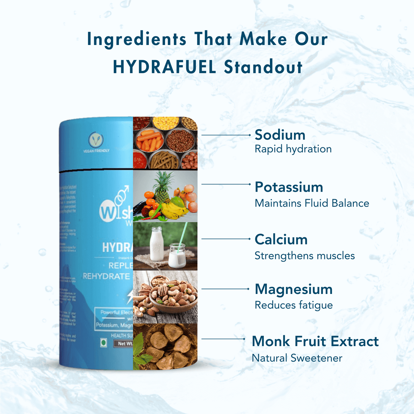 WishNew Wellness HydraFuel: Prime Electrolyte Energy Workout Drink Mix | Get Daily Hydration & Instant Energy Boost | Blueberry Flavor with natural Sweetness| 20 Sachets | Suitable for Men & Women Pack of 2