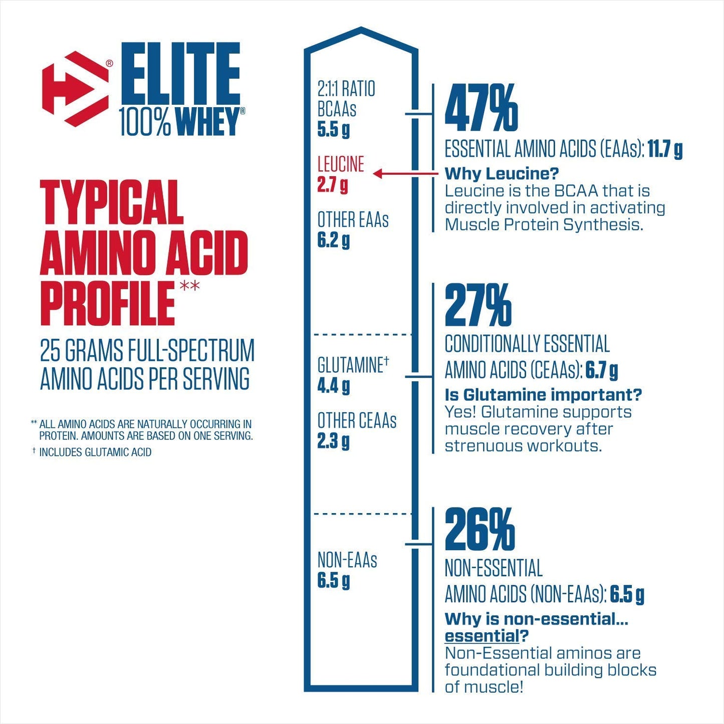 Dymatize Nutrition Elite Whey Protein Supplement Powder, Pre and Post Workout Protein Powder (5 lbs, 2.26 kg, Rich Chocolate)
