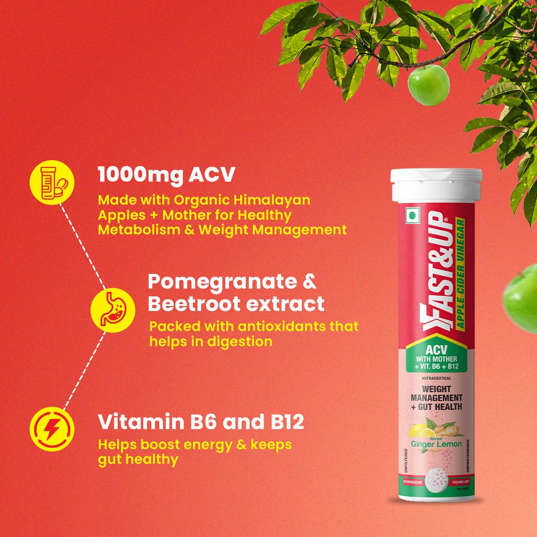 Fast&Up Apple Cider Vinegar with Mother (60 Effervescent tablets) | 1000mg ACV For Weight Management & Bloating | Made with 100% Organic Natural Himalayan Apples| Added Vit. B6 & B12 | Ginger Lemon Flavour