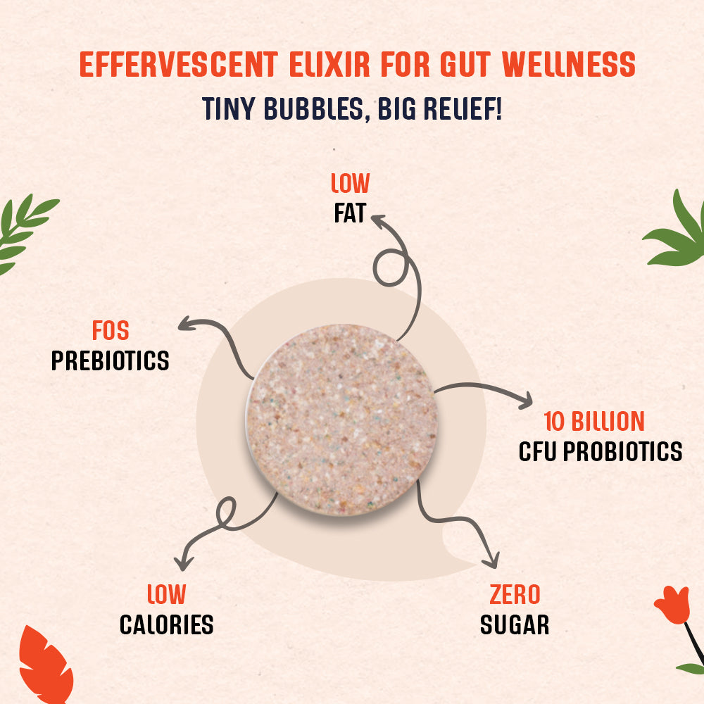 The Tiny Secret Digestion Fit Mints | Metabolic Booster | Protects Gut from Infection Meetha Pan Flavour & Gut Health Jaljeera Flavoured Fizz Pack of 2