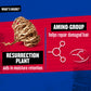 Bed Head Cond Resurrection 400ml