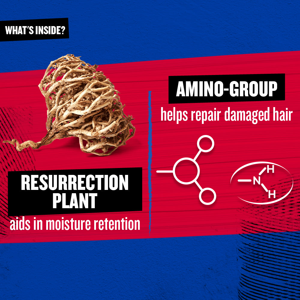 Bed Head Cond Resurrection 600ml