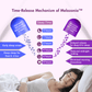 WishNew Wellness SLEEPEASE | 30 Veg Capsules | Advanced Sleep Formula | L-Theanine, Melatonin, Valerian, Ashwagandha | Deep Restful Sleep | Non-Habit Forming | 100% Vegetarian | Enhanced Relaxation
