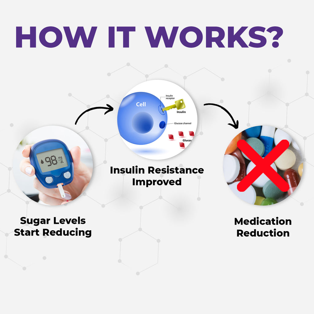 Muditam Sugar Defend Pro | Helps to manage | Weight Management | SUGAR FREE | Helps to regenerate B - cells | Sugar Care Vegan friendly | Pack of 3 Bottle | 180 tablets.