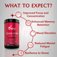 Wishnew Wellness Sharp Mind Duo: Daily Ritual Multivitamin Men 18+ + Genius Brain