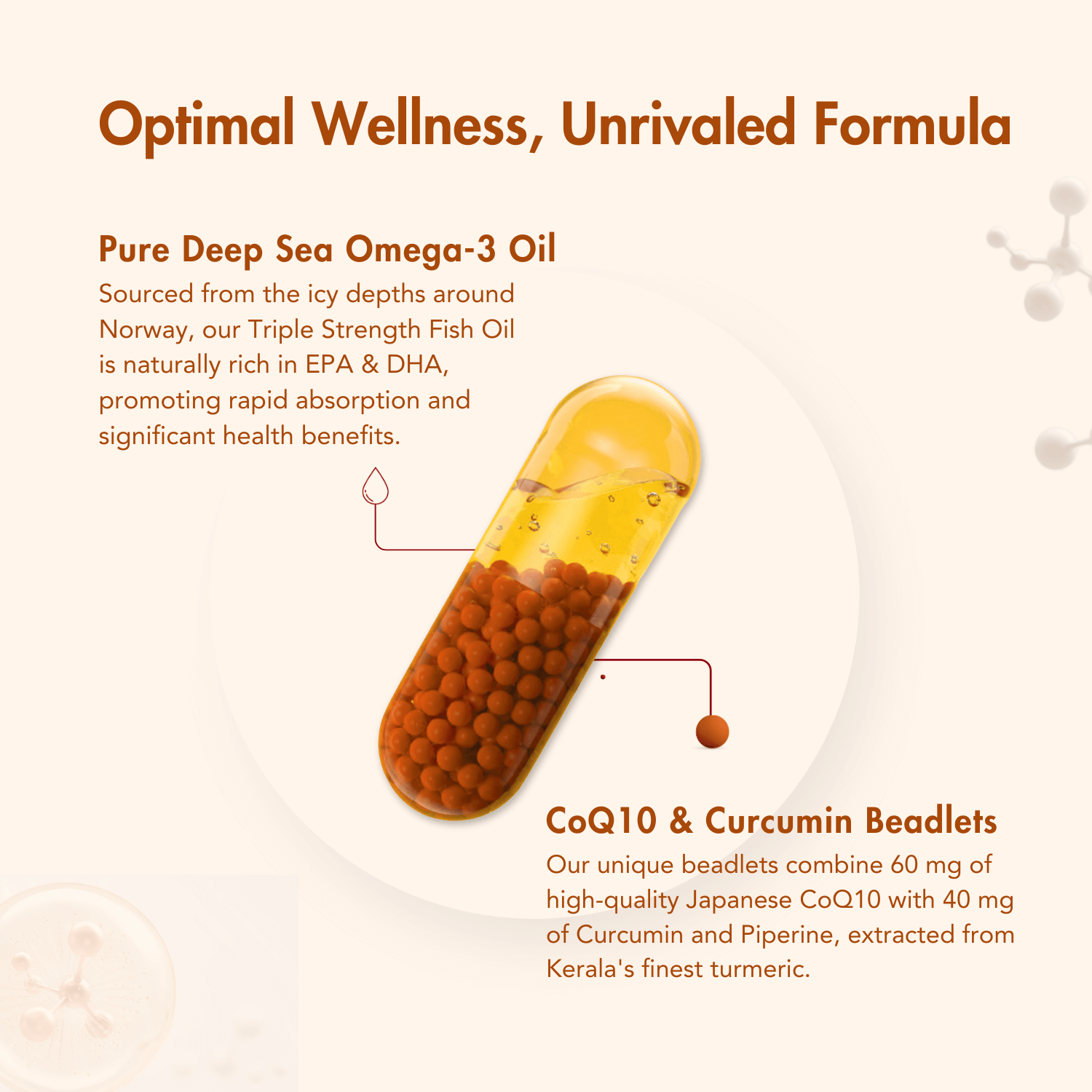 WishNew Wellness DAILY RITUAL with Triple Strength Fish Oil & CoQ-10 | Enhanced Heart & Brain Health | 60 Liquid Capsules with CoQ10 Pellets | High Potency Omega-3, EPA, DHA for Wellbeing Pack of 2