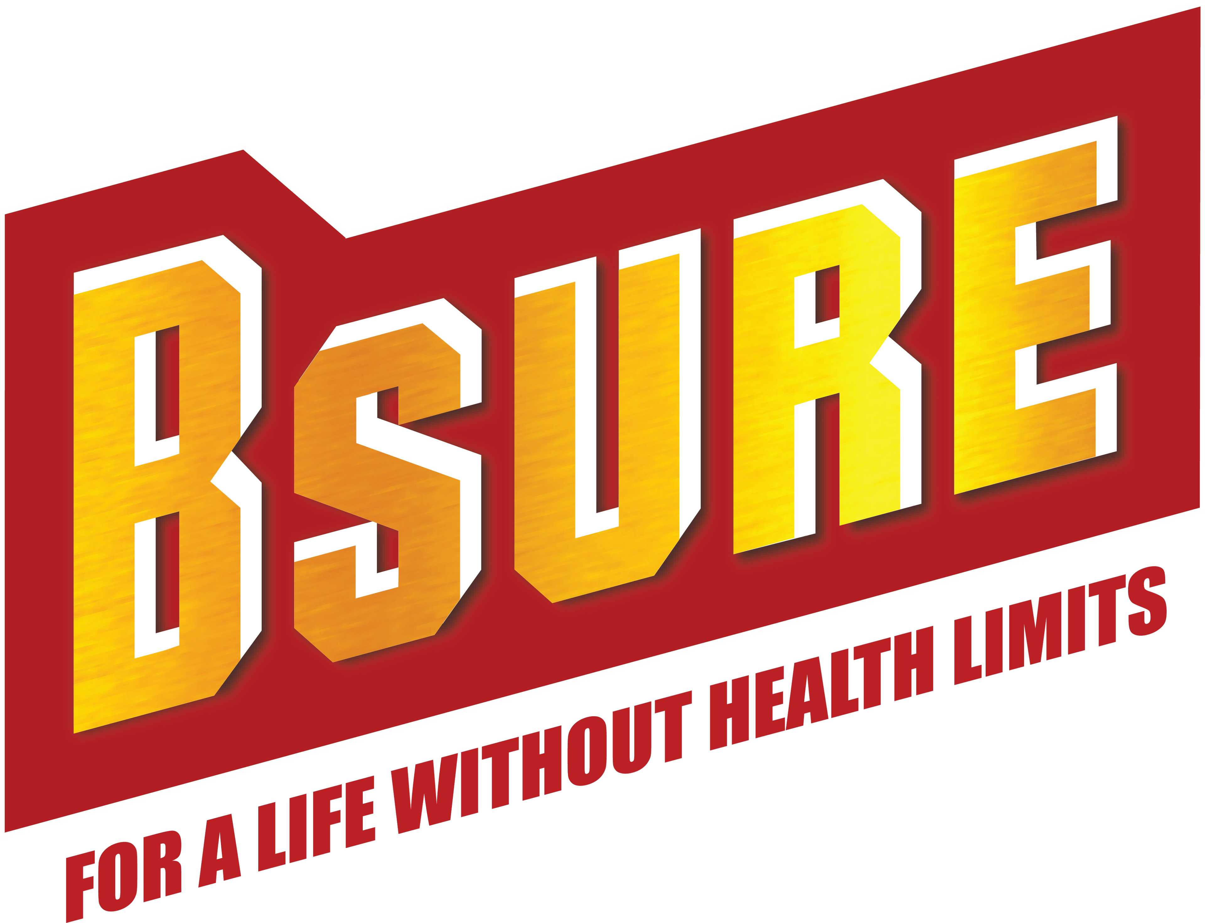Bsure - For a Life Without Health Limits | Complete balanced Nutritional supplement | Immune Booster| with 3 Vital Oxidants | Delicious Dutch Chocolate Flavour |400 g