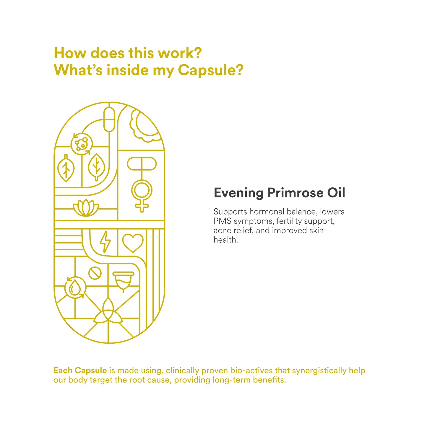 Origins Nutra Evening Primrose Oil | Supports Hormonal Balance, Lowers PMS Symptoms, Improves Skin Health| Evening Primrose Oil | GMP Certified | For Men & Women | 28 Veg Soft Gels Pack of 3