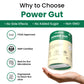 Muditam Ayurveda Power Gut - Prebiotics & Probiotics Supplement | Constipation, Bloating, Gas & Acidity Relief | Clinically Proven Strain | 15 Sachet