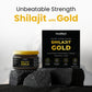 Muditam Ayurveda Shilajit Gold | boost in Strength, Stamina & Muscle building | Clinically Proven Strain | 100% Ayurvedic | 20g (Pack of 4)