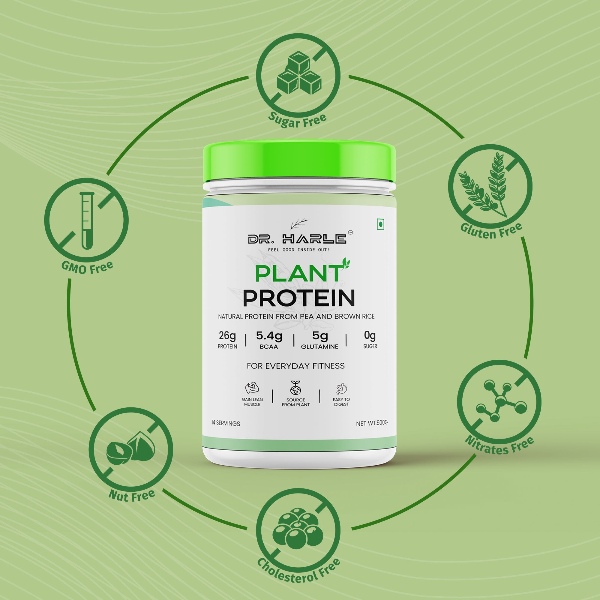 DR. HARLE 100% Vegan Plant Protein Powder for Women & Men 26g Protein, 26 Vitamins & Herbs per Serving with Digestive Enzymes | Supports Muscle Growth & Recovery | All-Natural, Non-GMO, Gluten-Free | Delicious Belgian Chocolate Flavour - 500gm