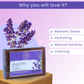 AROMA BLUSH Lavender Dream soap 100 G