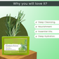 AROMABLUSH Revitalyzing Rosemary & Refreshing Mint Breeze Combo Soap