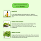 AROMABLUSH Herbal Infusion  Body lotion & shower gels duo's
