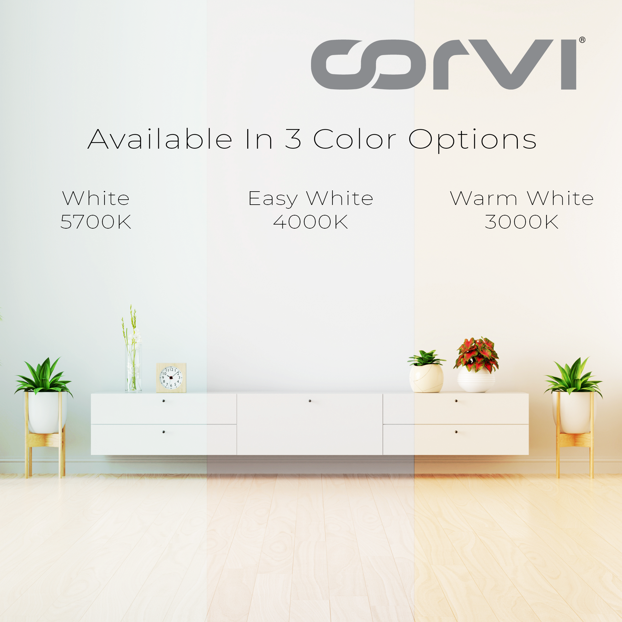 CORVI LED Flat 4 Round 6W Ceiling Panel Light | Slim, Dimmable & Driverless | Warm White 3000K | Backlit for Maximum Output | Ideal for False Ceilings & Home Lighting (Pack of 2)