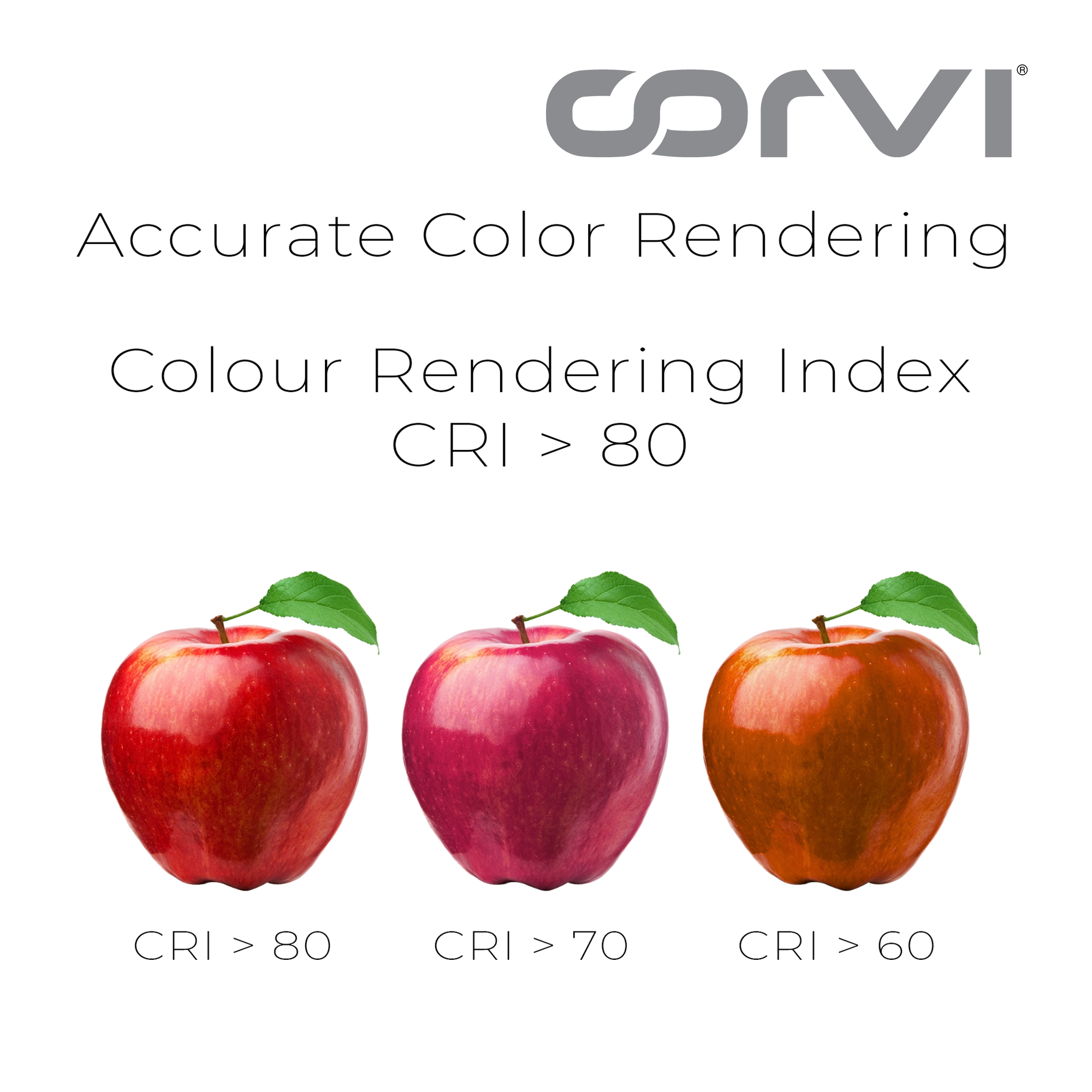 CORVI LED Flat 4Q Square 6W Ceiling Panel Light | Slim, Compact, Dimmable & Driverless | Warm White 3000K | Backlit for Maximum Output | Ideal for False Ceilings & Home Lighting (Pack of 3)